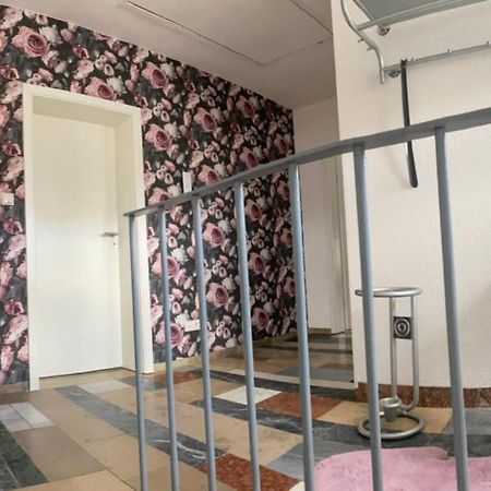 Erica Ferienwohnung Auf Dem Traumpfad Ettringen  Zewnętrze zdjęcie